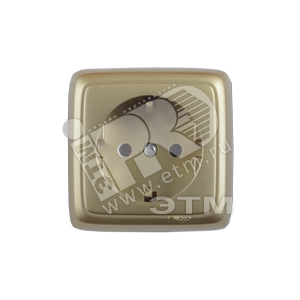 Розетка открытой установки, одноместная, с заземляющим контактом, с монтажной пластиной, цвет золото | РА16-115-07 | HEGEL