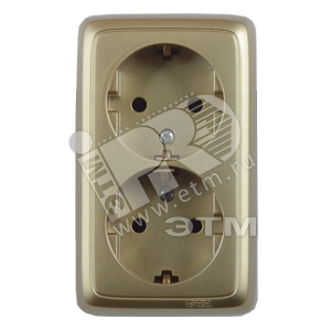 Розетка открытой установки, двухместная, с заземляющим контактом, с монтажной пластиной, цвет золото | РА16-155-07 | HEGEL