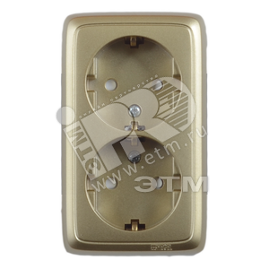 Розетка открытой установки, двухместная, с заземляющим контактом, со шторками, цвет золото | РА16-152-07 | HEGEL