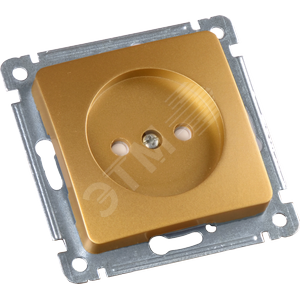 MASTER Розетка одноместная со шторками, скрытой установки, в рамку, золото