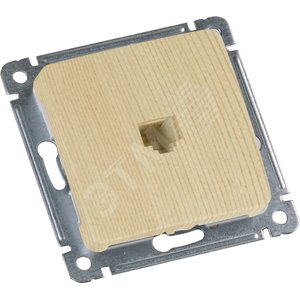 MASTER Розетка компьютерная скрытой установки, в рамку, сосна