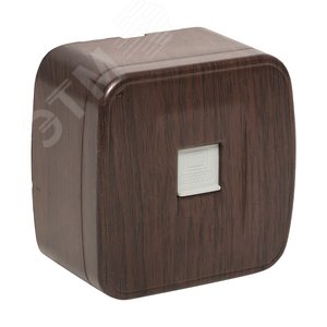 Розетка RJ-45 1-местная ОП Минск 1А 120В темное дерево