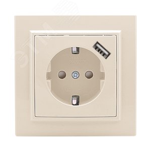 Розетка Минск 1-местная СП c заземлением 16А      бежевая с защитными шторками с USB 1А