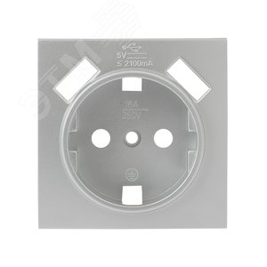 Валенсия лицевая панель розетки 1-местной с/з 16А сталь с защ. штор. с 2 USB 2,1А 2