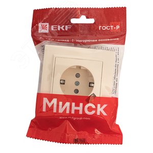 Розетка Минск 1-местная СП c заземлением 16А      бежевая с защитными шторками с USB 1А 2