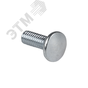 Винт с квадратным подголовником М6х10 TDZ 2