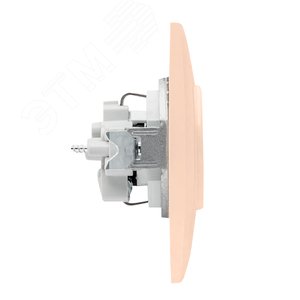 Валенсия розетка 1-местная с/з 16А кремовая с защ. штор. PROxima 3