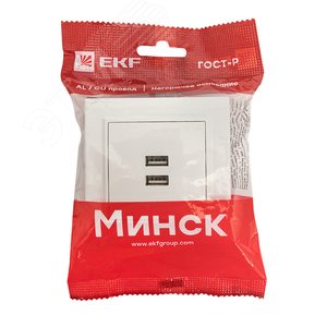 Минск Розетка USB 2-местная СП 2,1А  белая 2