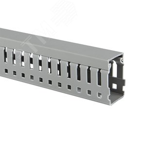 Канал кабельный перфорированный (ВхШ: 80х25мм.) PROxima