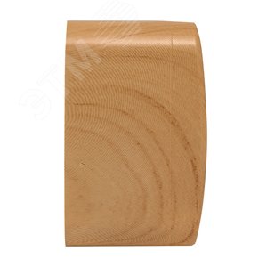 Розетка RJ-45 1-местная ОП Минск 1А 120В светлое дерево 3