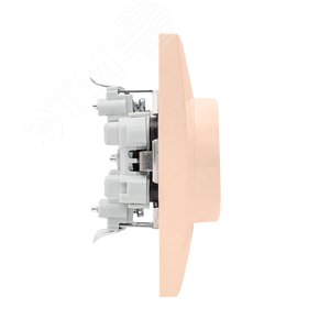 Валенсия розетка 2-местная с/з 16А кремовая с защ. штор. PROxima 3