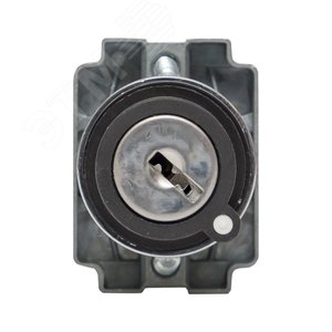 Переключатель BG61 2P с замком возвратный NO 2