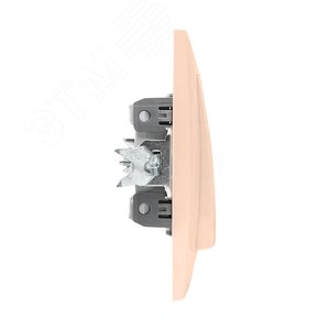 Валенсия кнопка звонка 10А кремовая 4