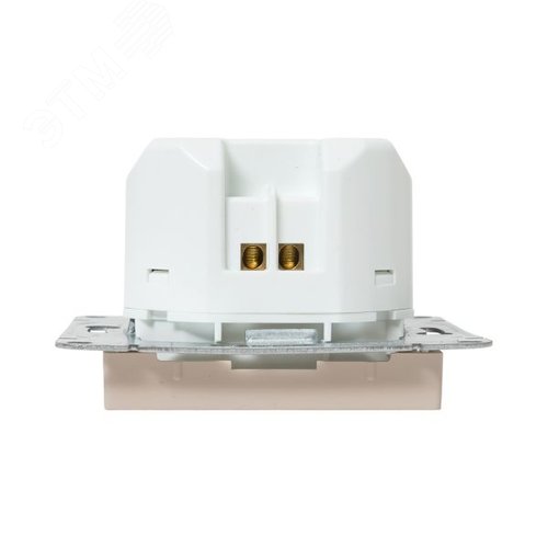 Механизм розетки USB-С  быстрая  кремовый Эпика EKF - фото 7