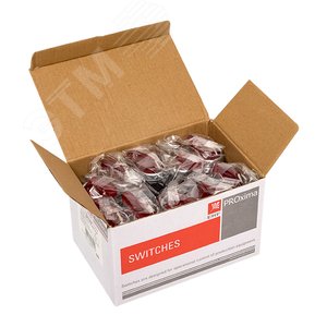 Переключатель ANLC-22 2P красныйс подсветкой 220В (psw-anlc-2p-r-220) 2