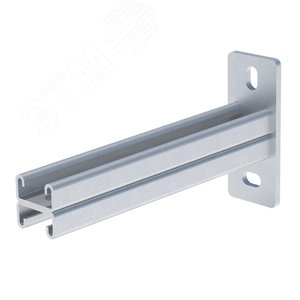 STRUT-консоль двойная 41х21 мм основание 650 мм HDZ