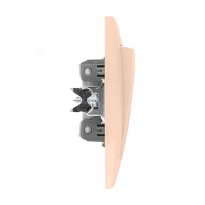 Валенсия выключатель 1-кл. 10А кремовый проходной 3