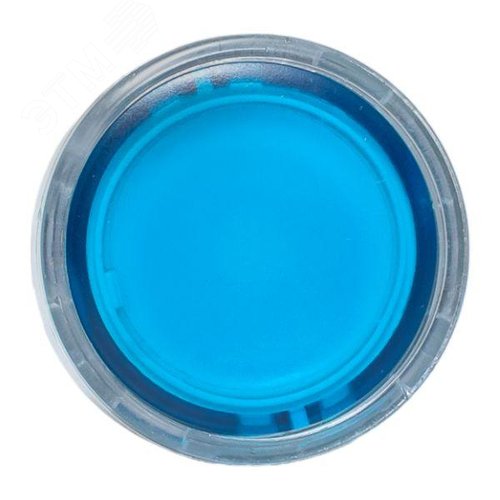 Механизм кнопки исполнительный XB4 синий плоский возвратный без фиксации с подсветкой PROxima 2