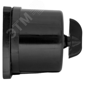 Выключатель пакетный ПВ 3-16 М3 кар. IP30 PROxima 3