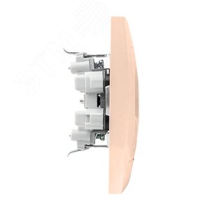 Валенсия розетка 2-местная б/з 10А кремовая с защ. штор. 3