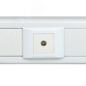 Розетка ТВ (ширина 2 модуля) 2