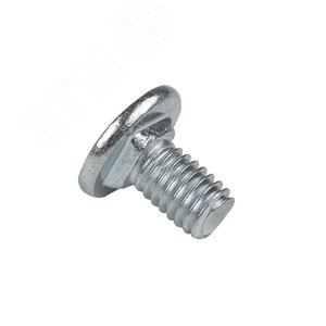 Винт с квадратным подголовником М6х10 TDZ