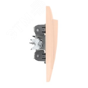 Валенсия выключатель 2-кл. 10А кремовый с индикатором 3