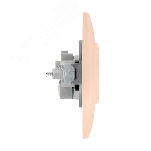 Валенсия розетка 1-местная б/з 10А кремовая с защ. штор. 3