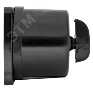 Выключатель пакетный ПВ 2-16 М3 кар. IP30 PROxima 3