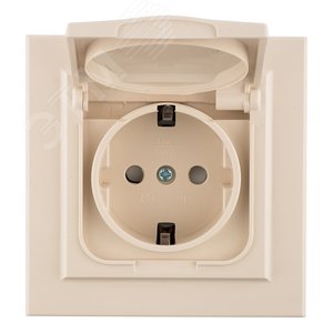 Розетка Минск 1-местная СП с заземлением с крышкой 16А бежевая с защитными шторками IP44