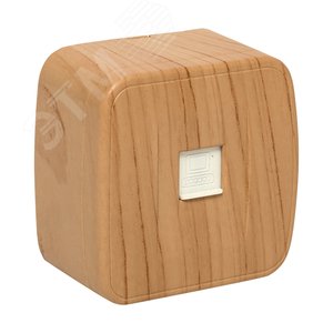 Розетка RJ-45 1-местная ОП Минск 1А 120В светлое дерево