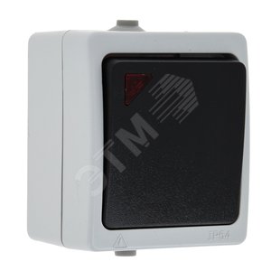 Выключатель Венеция одноклавишный с индикатором 10А IP54 серый (EVV10-121-30-54) - EKF
