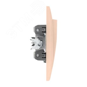 Валенсия выключатель 1-кл. 10А кремовый 3