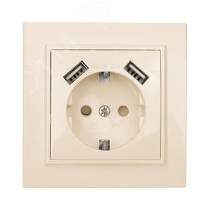 Розетка Минск 1-местная СП с заземлением 16А бежевая с защитными шторками с 2 USB 2,1А