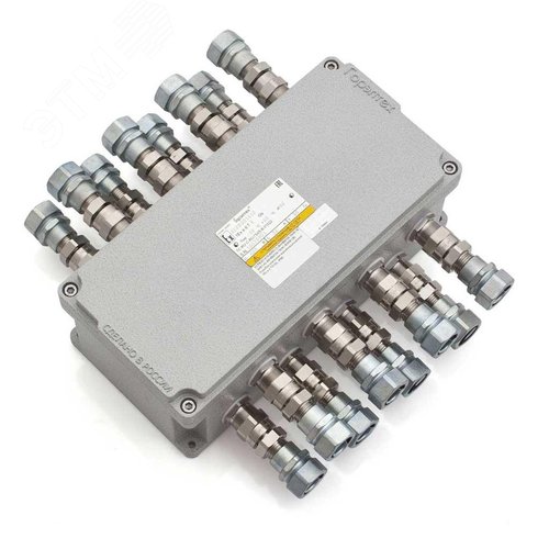 Коробка клеммная взрывозащищенная 1Ex e II Т6 Gb IP66 (11C2)-5XP1 (A)-1XP2 (C) (КСРВ301410-5) - CORTEM