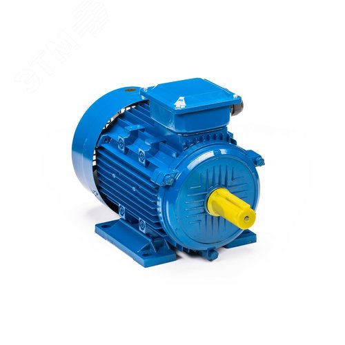 Электродвигатель 5АИ 132 S6 5.5/1000 IM1081 (5АИ 132 S6 5.5/1000  IM 1)