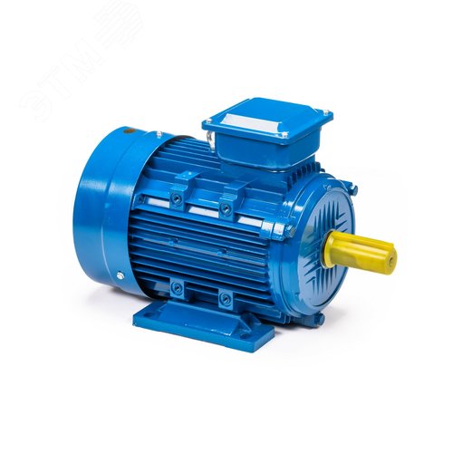 Электродвигатель 5АИ 132 S6 5.5/1000 IM1081 (5АИ 132 S6 5.5/1000  IM 1) 3