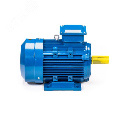 Электродвигатель 5АИ 132 S6 5.5/1000 IM1081 (5АИ 132 S6 5.5/1000  IM 1) 4