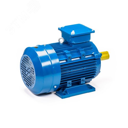 Электродвигатель 5АИ 132 S6 5.5/1000 IM1081 (5АИ 132 S6 5.5/1000  IM 1) 5