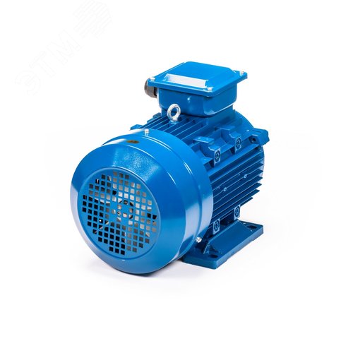 Электродвигатель 5АИ 132 S6 5.5/1000 IM1081 (5АИ 132 S6 5.5/1000  IM 1) 6