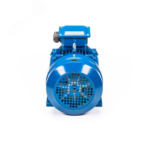 Электродвигатель 5АИ 132 S6 5.5/1000 IM1081 (5АИ 132 S6 5.5/1000  IM 1) 7