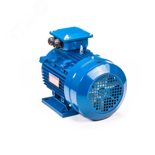 Электродвигатель 5АИ 132 S6 5.5/1000 IM1081 (5АИ 132 S6 5.5/1000  IM 1) 8