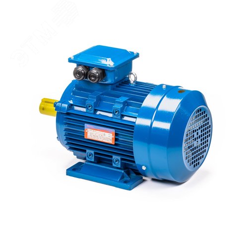 Электродвигатель 5АИ 132 S6 5.5/1000 IM1081 (5АИ 132 S6 5.5/1000  IM 1) 9