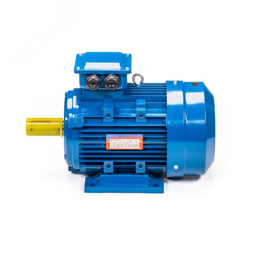 Электродвигатель 5АИ 132 S6 5.5/1000 IM1081 (5АИ 132 S6 5.5/1000  IM 1) 10