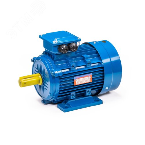 Электродвигатель 5АИ 132 S6 5.5/1000 IM1081 (5АИ 132 S6 5.5/1000  IM 1) 11