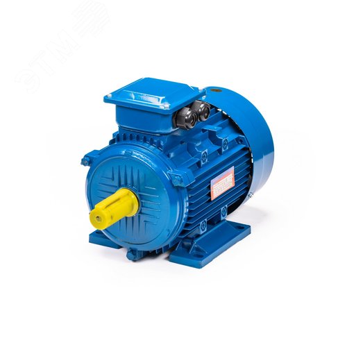 Электродвигатель 5АИ 132 S6 5.5/1000 IM1081 (5АИ 132 S6 5.5/1000  IM 1) 12