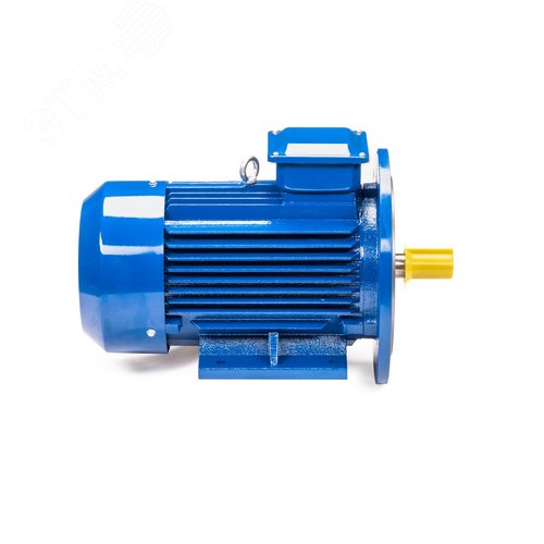 Электродвигатель 5АИ 100 L8 1.5/750  IM 2081  Китай (5АИ 100 L8 1.5/750  IM 2081  Китай) - фото 4