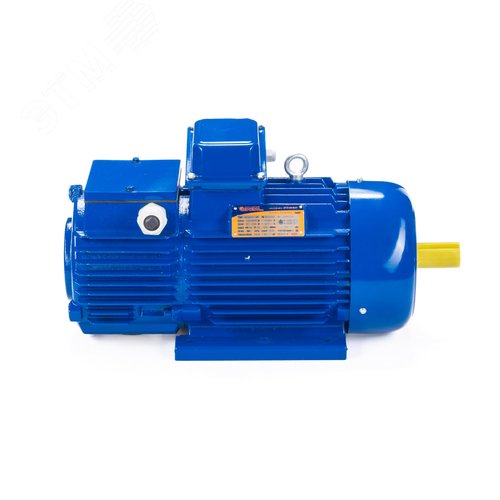 Электродвигатель крановый 312-6  IM 1001 15/1000 ( 4