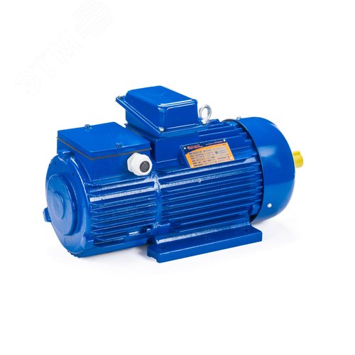 Электродвигатель крановый 312-6  IM 1001 15/1000 ( 5