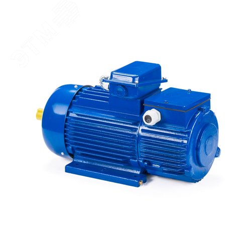 Электродвигатель крановый 312-6  IM 1001 15/1000 ( 9